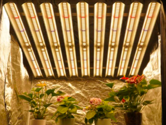 LED-1000W