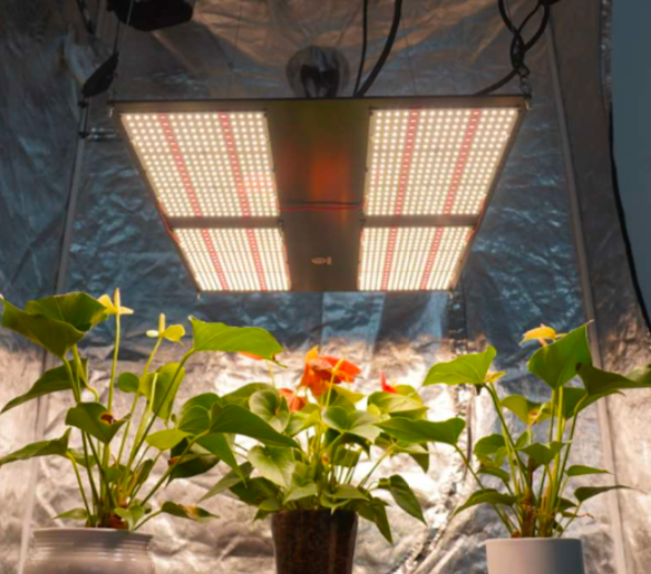 480W LED GROW LIGHT - FP-3480