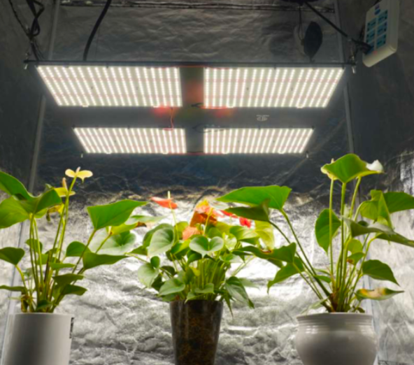 480W LED GROW LIGHT - FP-3480
