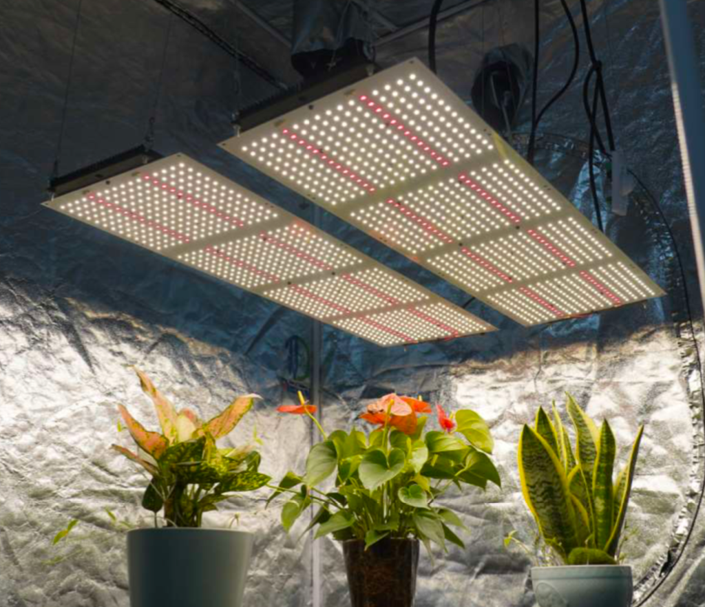 600W LED GROW LIGHT - FP-3600