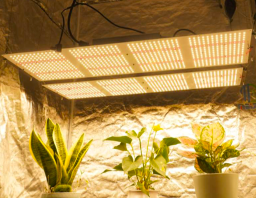 600W LED GROW LIGHT - FP-3600